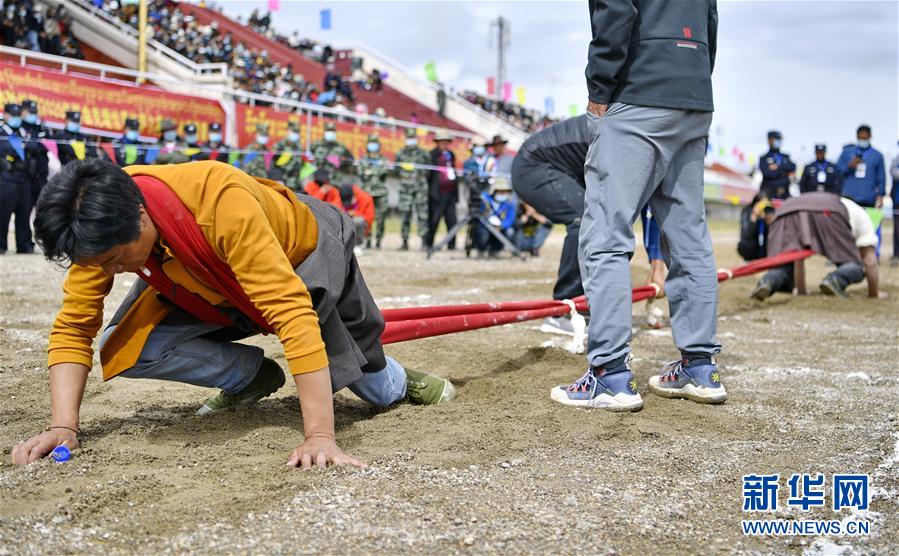 (體育)(4)西藏那曲:賽馬藝術節(jié)上的比拼