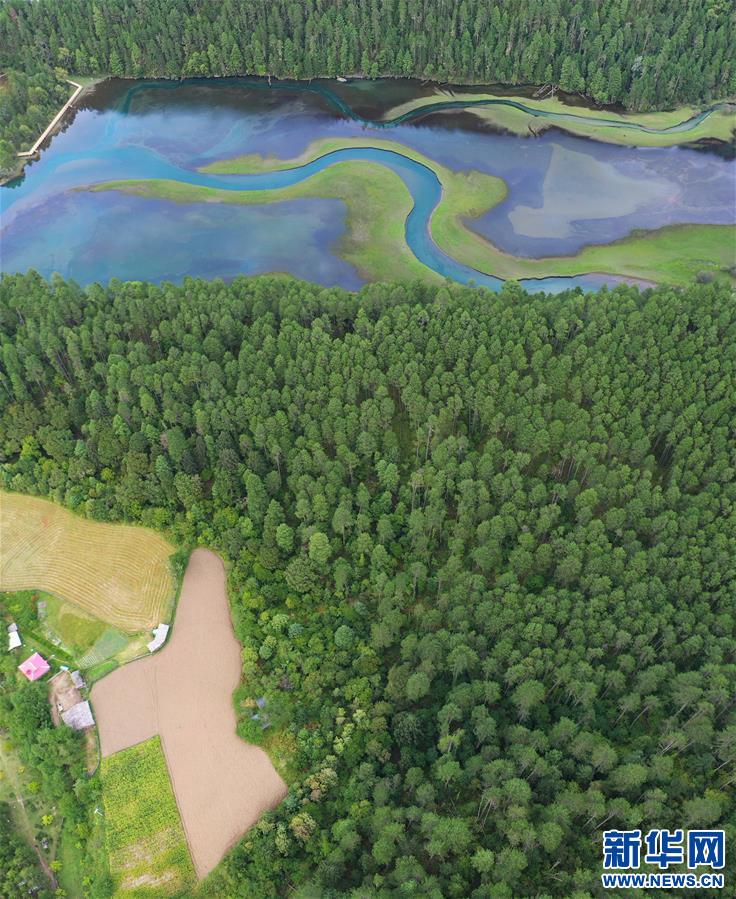 (新華視界)(4)隱秘的高原草湖
