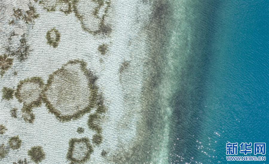 (新華視界)(1)“醉”美羊湖