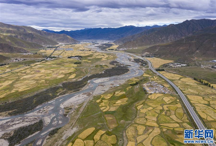 (美麗中國(guó))(2)拉薩河谷:大地流金迎豐收