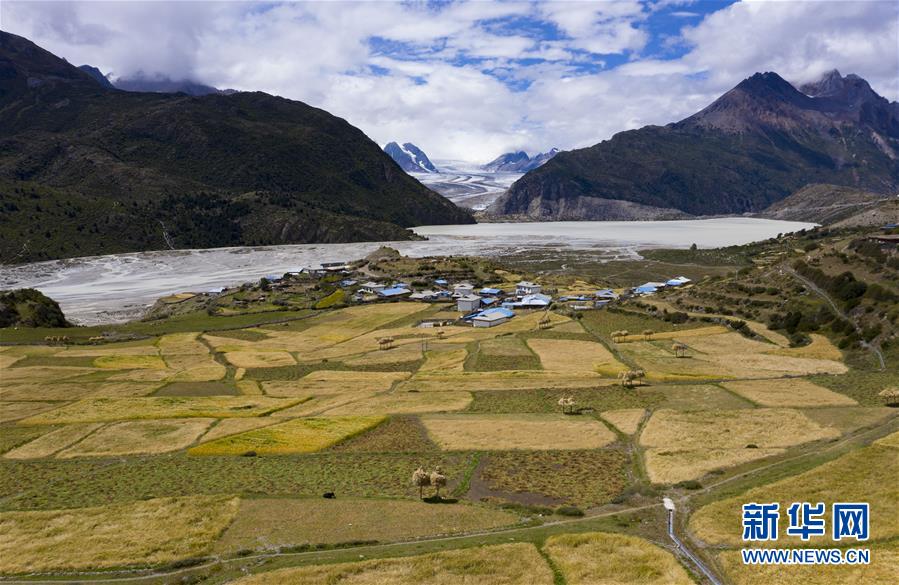 (社會)(1)西藏:冰川腳下的秋收