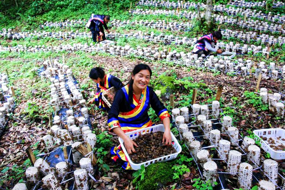 喜獲豐收展笑顏。次仁央宗攝