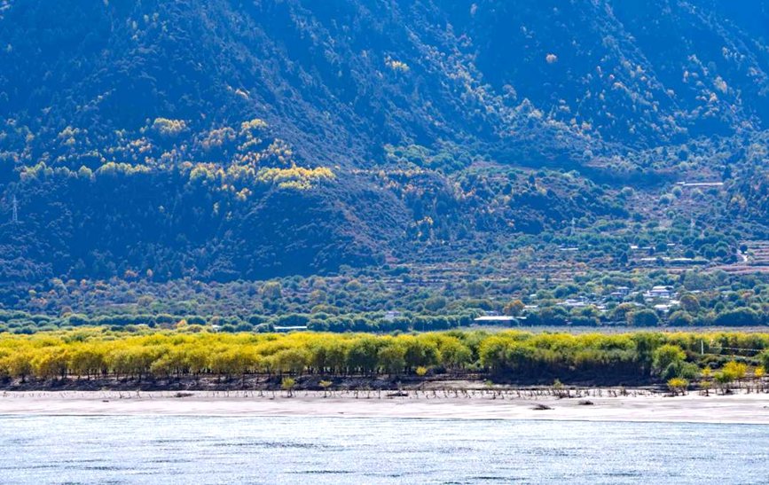 西藏:雅尼濕地秋日風光正好【2】