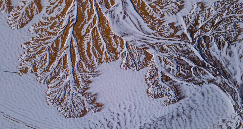 栩栩如生的枝干。邊巴多吉攝