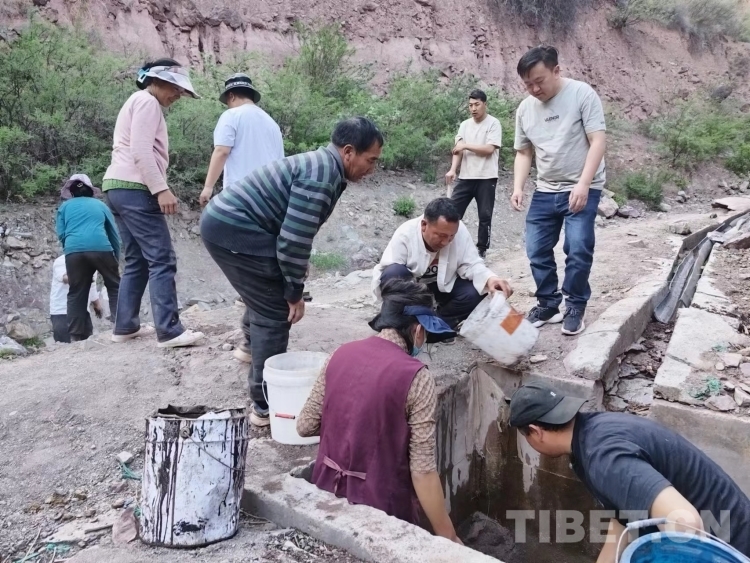 微信圖片_20230602131326.jpg 微信圖片_20230602131326.jpg