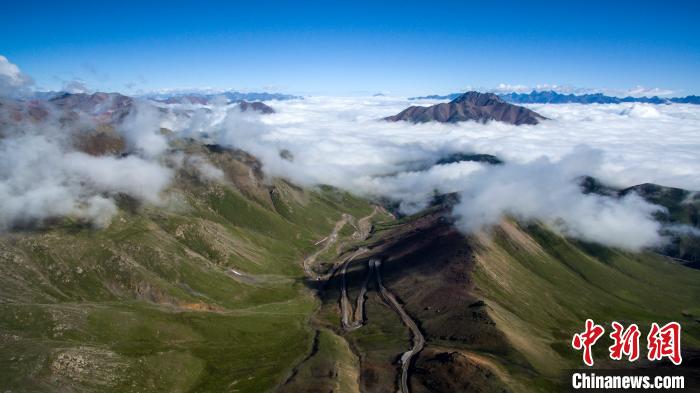 祁連山國家公園(青海片區(qū)):保護管理體系初步建立