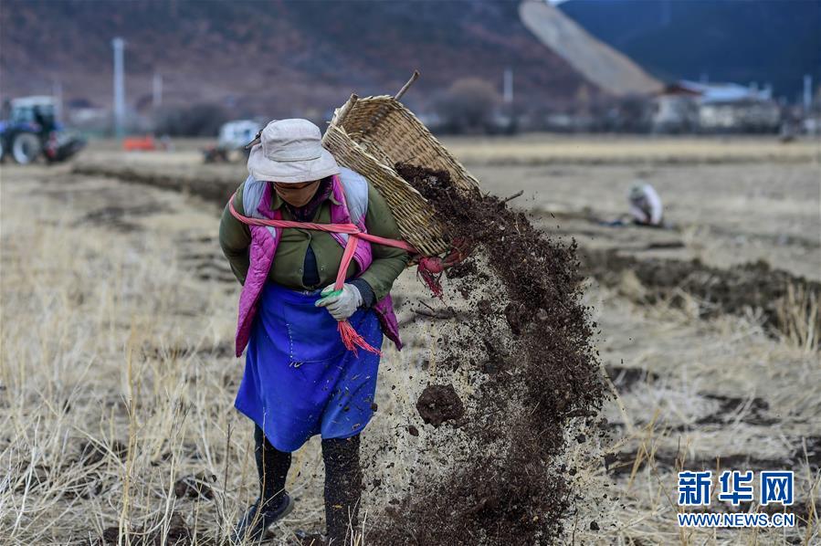 (經(jīng)濟(jì))(1)高原春耕忙