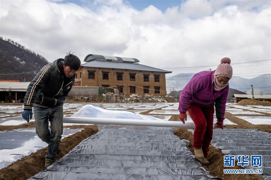 (經(jīng)濟(jì))(2)高原春耕忙