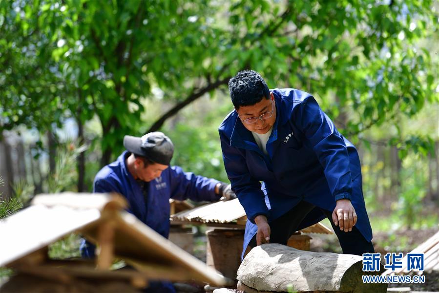 (脫貧攻堅·圖片故事)(3)“90后新農(nóng)人”的返鄉(xiāng)致富路