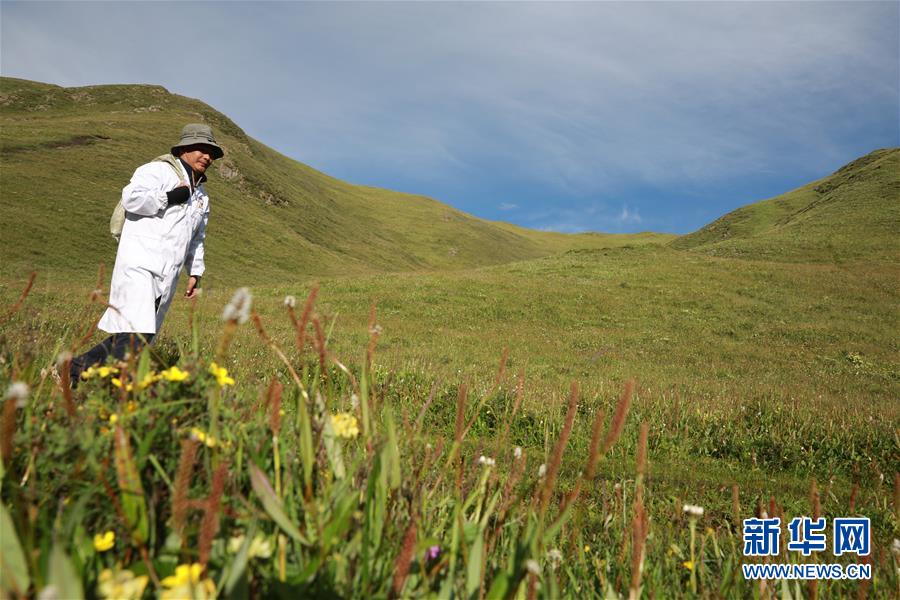 (社會(huì))(4)夏日采藥季
