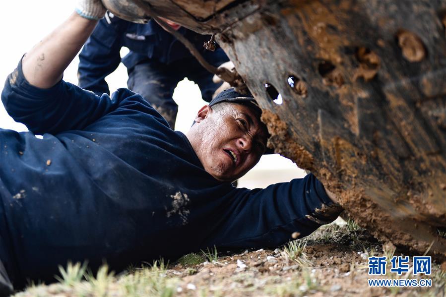 （圖文互動）（1）記者手記：可可西里，“挪”向“藏羚羊大產(chǎn)房”的14個半小時