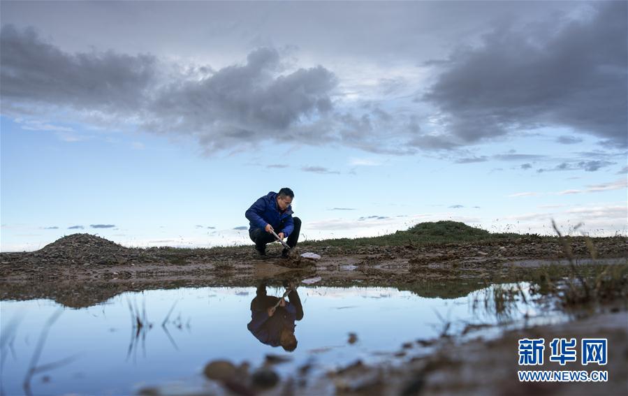 (環(huán)境)(10)直擊2020年江源綜合科考