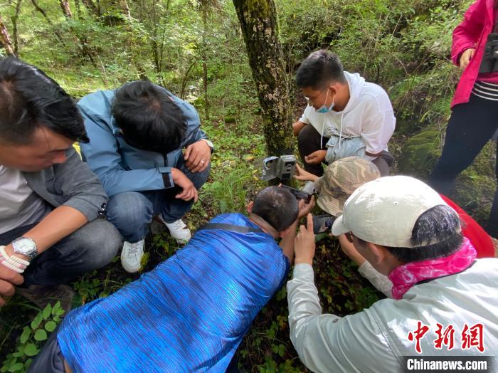 圖為訪客正在查看紅外相機(jī)中的拍攝畫(huà)面?！±罱瓕?攝