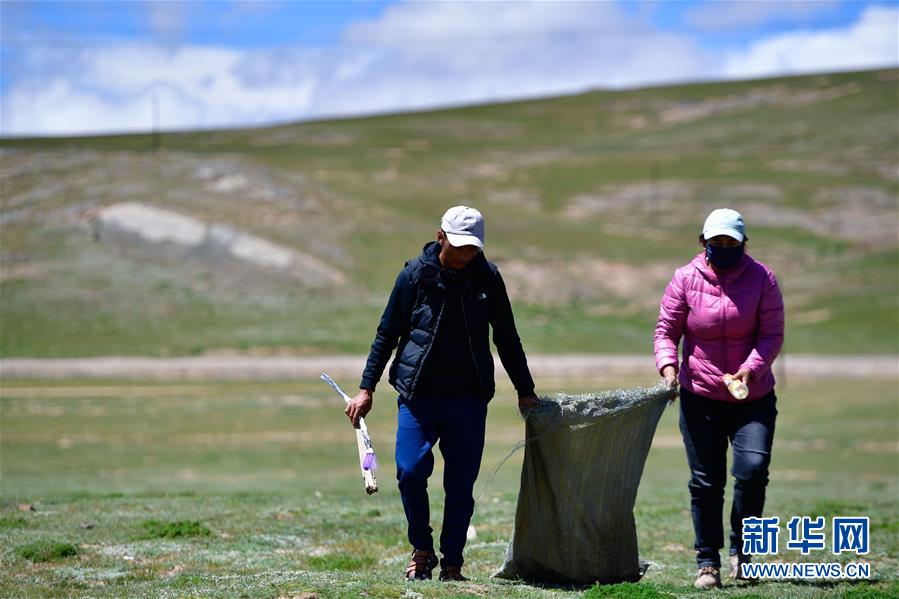 (新華全媒頭條·走向我們的小康生活·圖文互動)(5)綠色繪就三江源——來自青海脫貧奔小康一線的蹲點報告