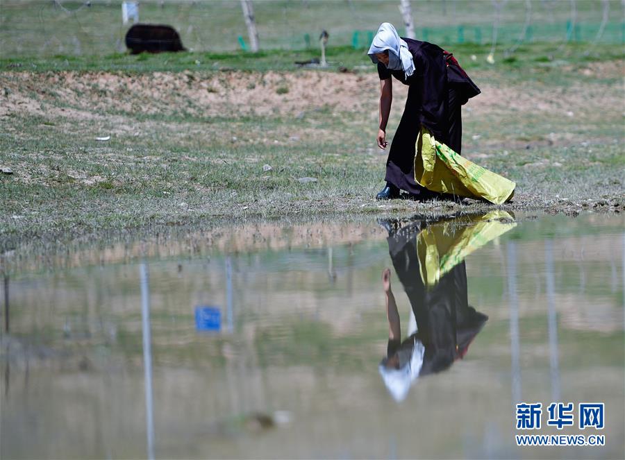 (環(huán)境)(1)三江源生態(tài)管護員群像