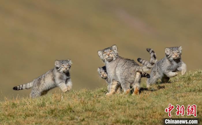 圖為李善元獲獎(jiǎng)作品《當(dāng)媽媽說跑步前進(jìn)》?！±钌圃?攝
