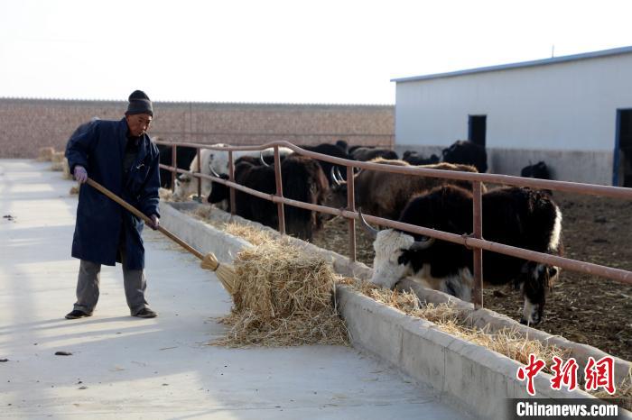 柴達(dá)木盆地蓮湖村：讓致富村民生活“?！逼饋?lái)