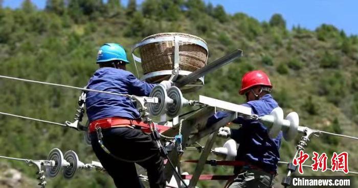國網青海電力:三江源4000多個“人工鳥巢”實行一體化管理
