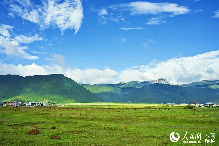 納帕海濕地風(fēng)景。呂昊辰攝