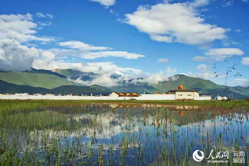 納帕海濕地風(fēng)景。呂昊辰攝