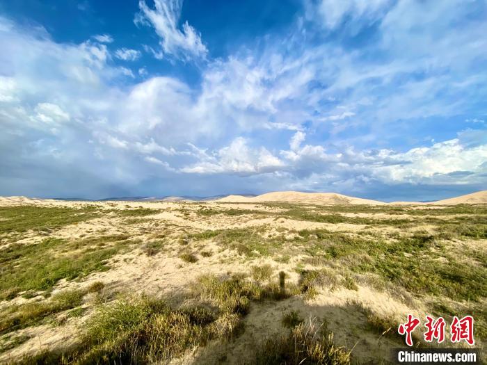 圖為關(guān)停四年后的沙島景區(qū)現(xiàn)狀?！±罱瓕?攝