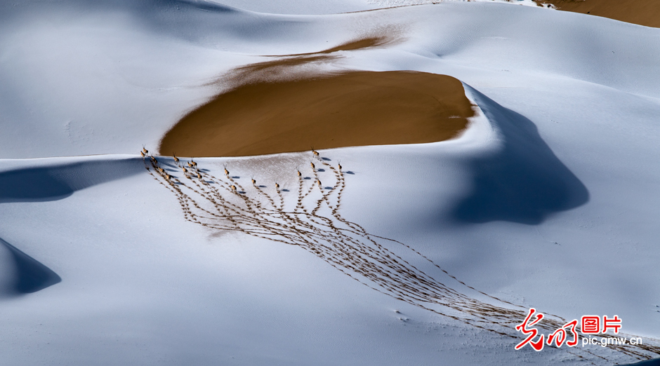 三江源國家公園正式設(shè)立，這是青海生態(tài)文明建設(shè)的新答卷