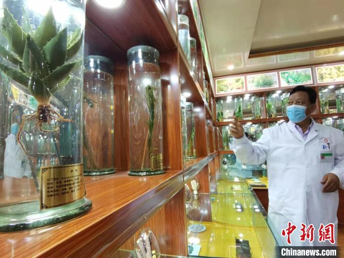 甘肅省甘南藏族自治州碌曲縣藏醫(yī)院副院長看照加近30年的從醫(yī)工作，堅持中藏醫(yī)特色優(yōu)勢相結合診療方法?！堟?攝