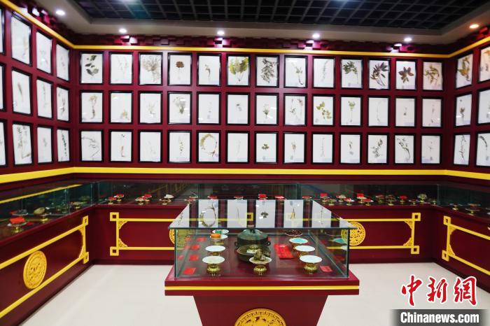 圖為藏藥臘葉標本。　馬銘言 攝