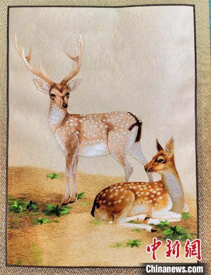 圖為藏繡作品?！∑钤鲚?攝
