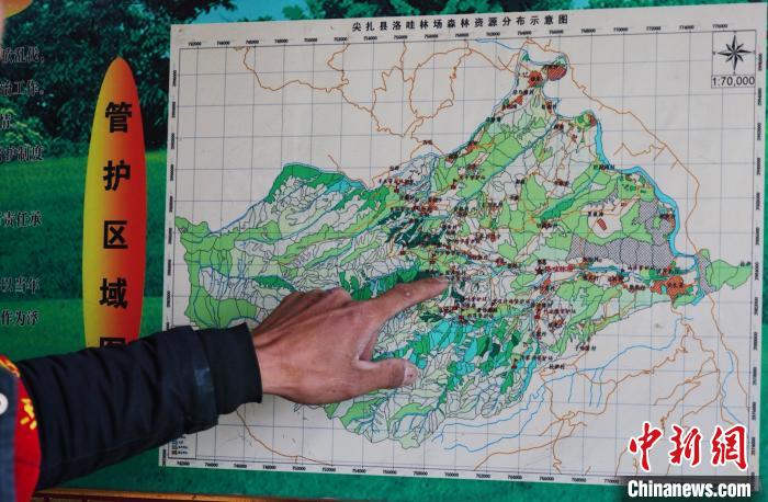 圖為桑杰加介紹管護(hù)區(qū)域分布?！●R銘言 攝