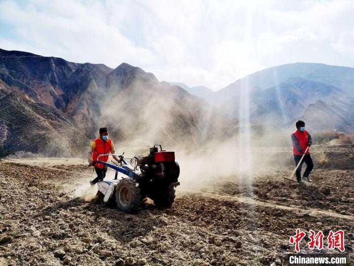 圖為拖拉機(jī)在山地犁地。　張?zhí)砀?攝