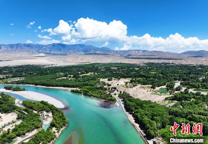 航拍貴德縣黃河岸畔綠意盎然?！●R銘言 攝