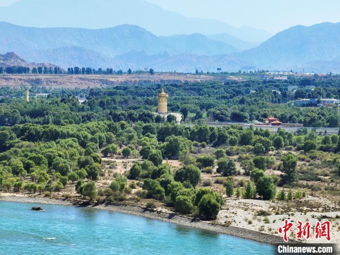 航拍貴德縣黃河岸畔綠意盎然?！●R銘言 攝