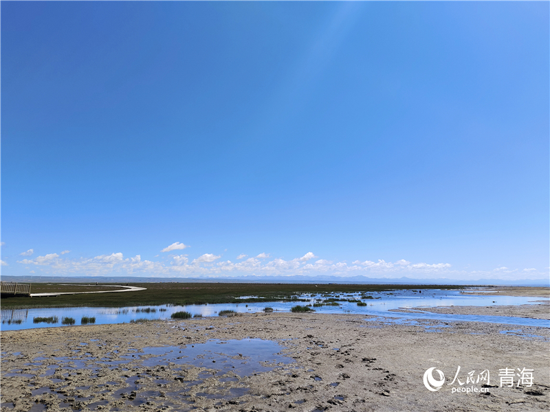   青海湖仙女灣。人民網(wǎng) 張莉萍攝