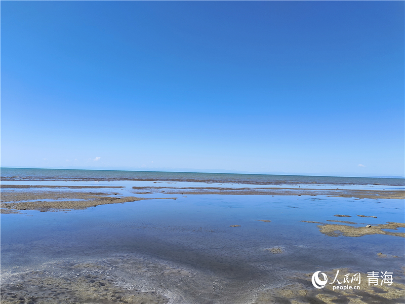   青海湖仙女灣。人民網(wǎng) 張莉萍攝