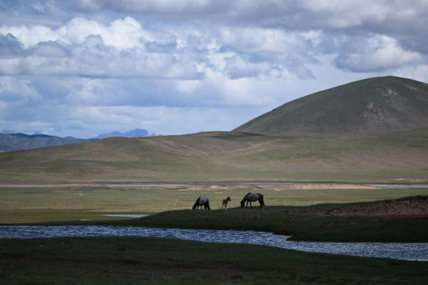 唐古拉山腳下，聽牧民講述長(zhǎng)江源生活變遷