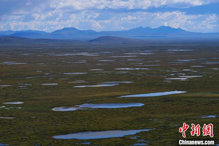 圖為查旦濕地?！●R銘言 攝