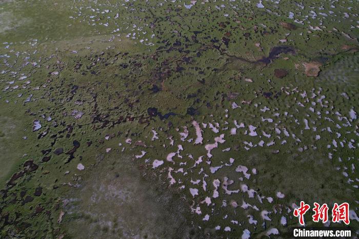 航拍查旦濕地?！●R銘言 攝