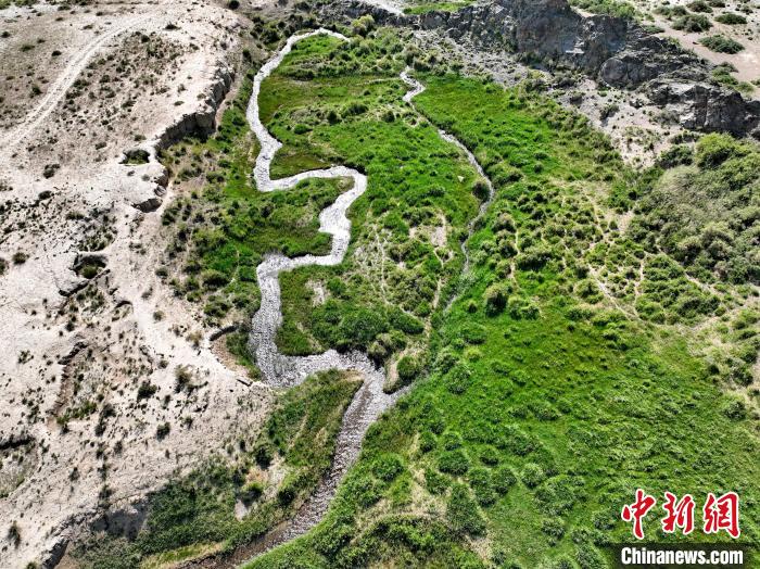 圖為航拍都蘭湖國家濕地公園綠意盎然。　祁增蓓 攝