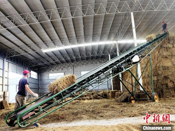 圖為飼草打捆、儲存?！●R芝芬 攝