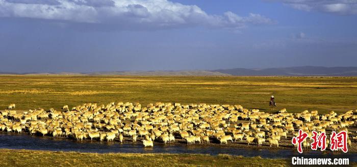 青?，敹唷鞍渍渲椤弊尠傩斟X袋鼓起來