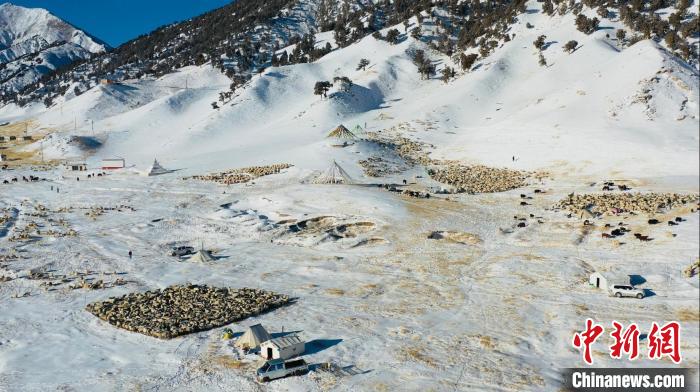 圖為無人機航拍牧場。　都蘭縣融媒體中心供圖