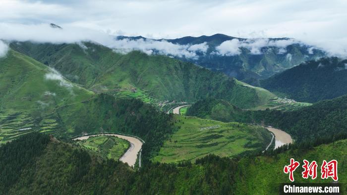 資料圖為果洛州境內(nèi)瑪可河國家森林公園?！●R銘言 攝