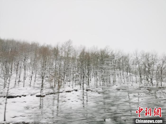 圖為青海青沙山區(qū)域被降雪覆蓋。　張?zhí)砀?攝