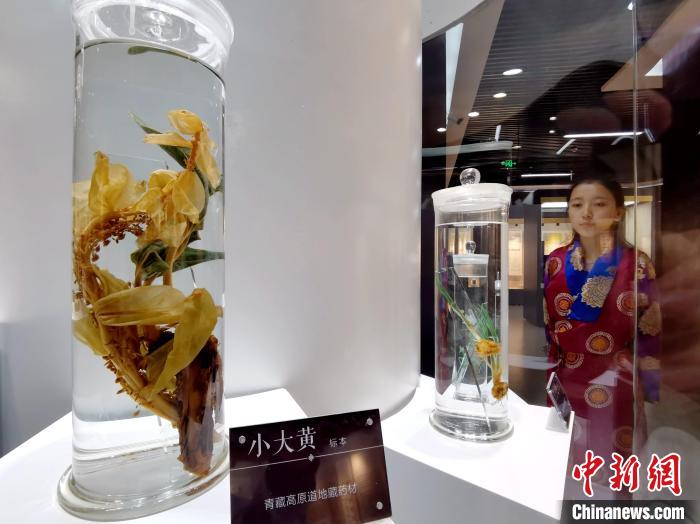 青海中藏醫(yī)藥發(fā)展提速：建設(shè)一批重點?？茖W(xué)科，推廣一批適宜技術(shù)