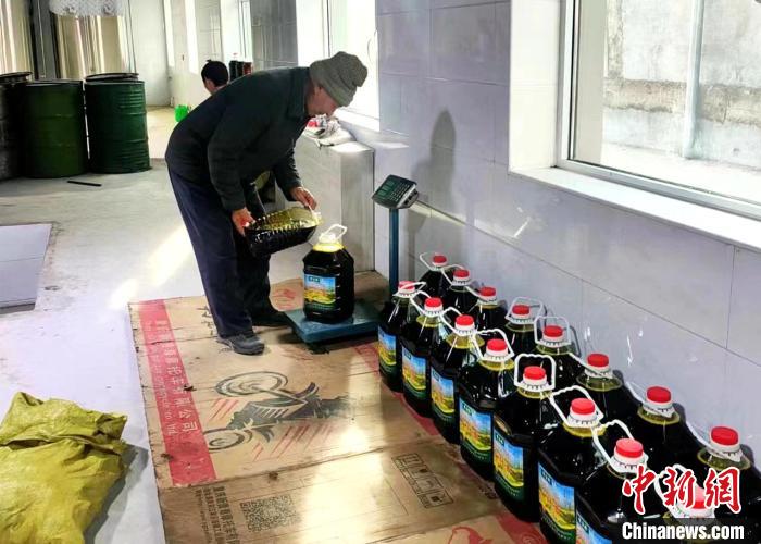 圖為高原油菜籽榨出的菜籽油?！埖么?攝