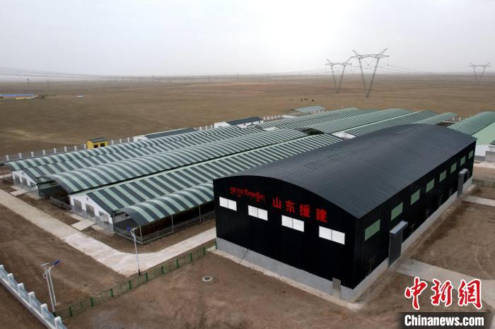 圖為航拍生態(tài)畜牧業(yè)集中規(guī)?；B(yǎng)殖基地?！〔讨绢?攝