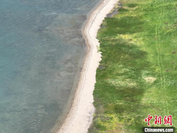 圖為航拍仲夏時節(jié)，青海湖畔綠茵如毯?！∑钤鲚?攝