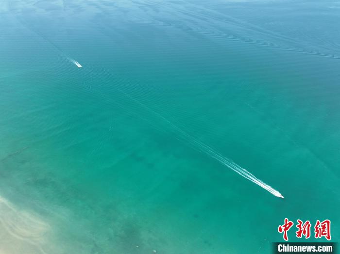 圖為航拍仲夏時節(jié)，青海湖湖水碧波蕩漾?！∑钤鲚?攝