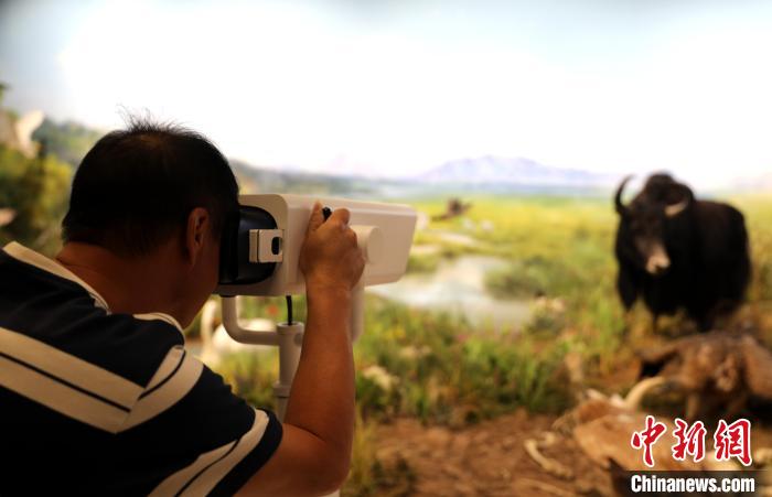 圖為臺商觀看祁連山國家公園生態(tài)科普館內(nèi)生態(tài)場景。　薛蒂 攝